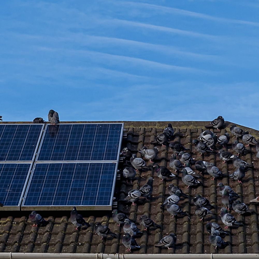 Solar Panels Mesh Sydney