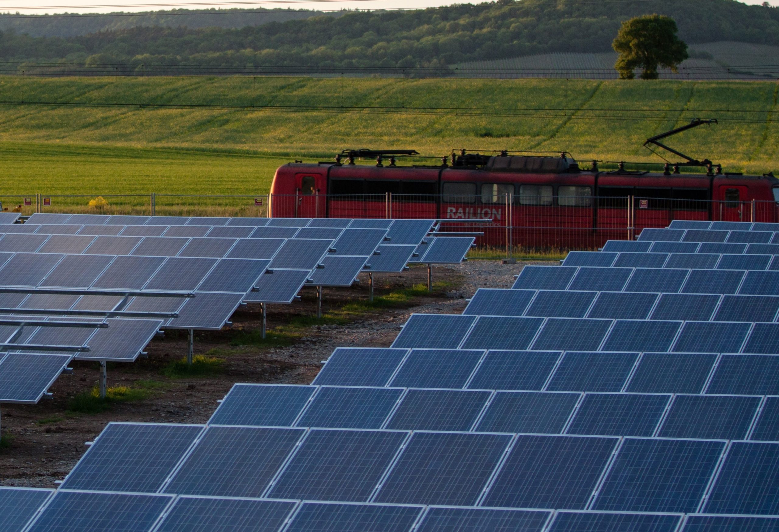 Bird mites from solar panels in Sydney: what’s actually happening and how to stop it